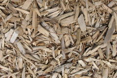 biomass boilers Bargarran
